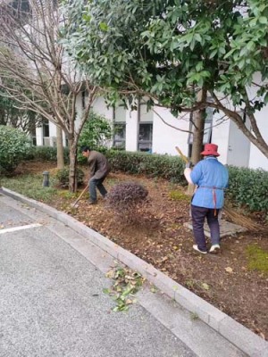 江陵租花绿植市场地址