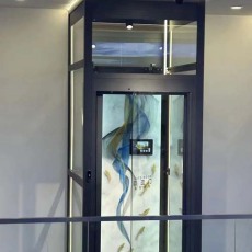 儋州自建房电梯观光定制