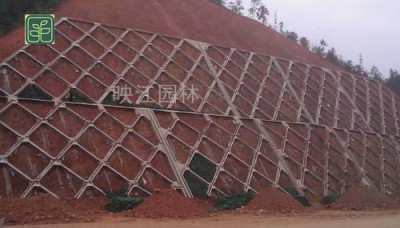 罗江县水泥护坡施工方案