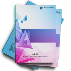 中国硅树脂市场深度评估及投资规划研究报告