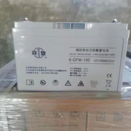 宜昌双登蓄电池12V100AH厂