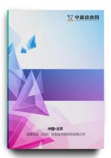 中国代理记账生产线技改项目可行性研究报告