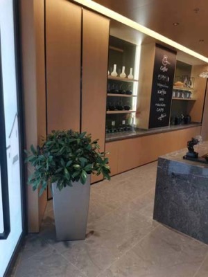 吴中绿植助理大概多少钱