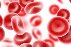 瑞金医院造血干细胞移植