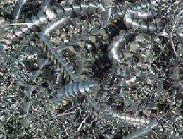 茂名废电线电缆回收多少钱一吨
