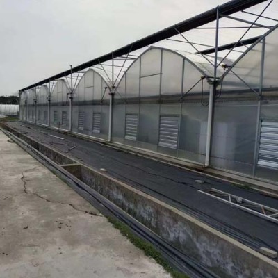 荆州蔬菜大棚镀锌管专业建造，多年经验