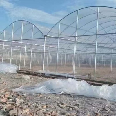 新郑玻璃温室大棚生产安装