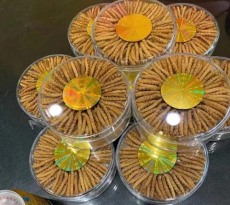 玉林回收冬虫夏草上门