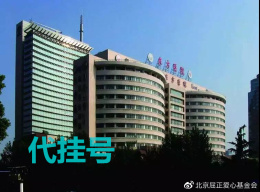 上海仁济医院上海第一人民医院上海东方肝胆医院挂号预约代办上海各三甲医院代挂号