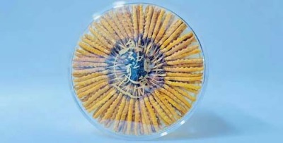 枣庄冬虫夏草回收咨询电话