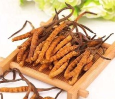乌海冬虫夏草回收什么价