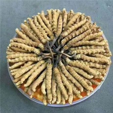 来宾回收冬虫夏草电话