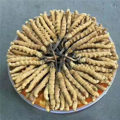 本溪回收冬虫夏草联系电话