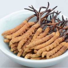 遵义回收冬虫夏草多少钱