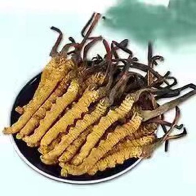 石河子回收冬虫夏草联系方式