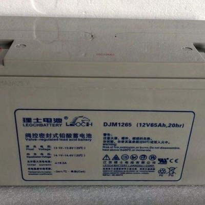 贺州船用理士蓄电池DJM12100S详细参数