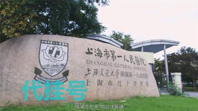 上海胸科医院专家挂号费多少上海各三甲医院代挂号
