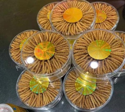 登封回收冬虫夏草电话