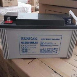 银南UPS电源12V100AH理士蓄电池DJM12100S规格参数