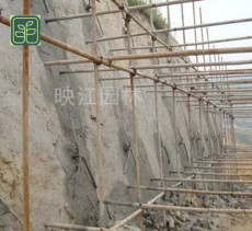 东光县绿化护坡施工方案