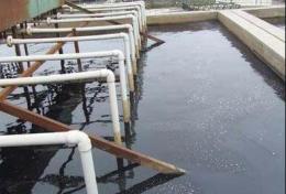 乐山工业污水及生活污水检测 微生物检测