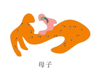 四川广汉大理石浮雕用什么材料