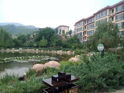 自贡风景墙画公园景点果蔬造景