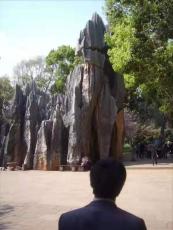 自贡人工湖动物造景公园景点动物雕塑