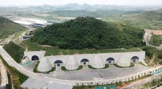 太平洋保险免疫细胞