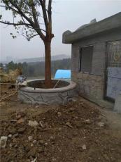 四川雅安生态园人造景观水泥仿真假山