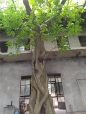 成都青砂石栏杆生态园仿真假山