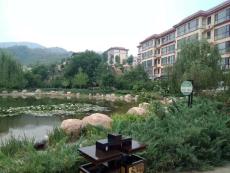 自贡假山拱门绿雕党旗制作