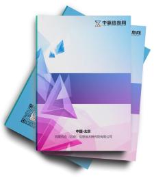 中国网络媒体项目投资可行性研究报告