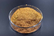 忻州变色龙粉生产厂家排名