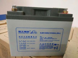淄博直流屏理士蓄电池DJM12100S优质货源