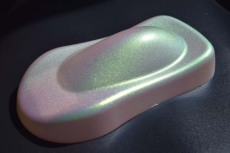 巴中变色龙粉批发