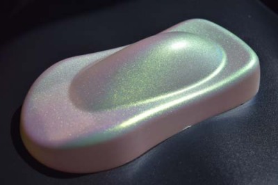 巴中变色龙粉批发