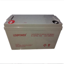 LOUPOWER蓄电池6-GFM-100莱力12V100AH胶体