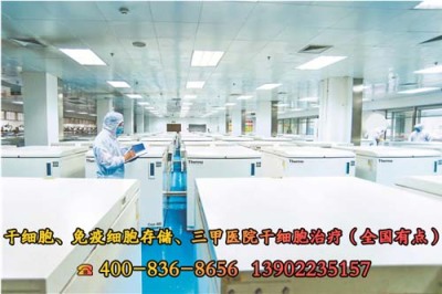上海干细胞储存机构