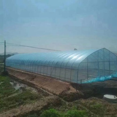 绍兴连栋蔬菜温室安装工程
