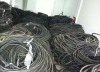 阿拉山口市旧电线电缆回收商家