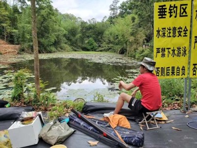 顺德区规模大团建活动度假村