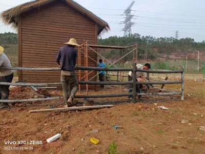 萍乡水泥仿树藤栏杆工厂