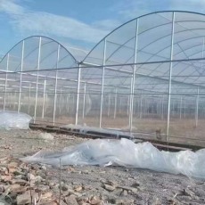 新乡蔬菜温室镀锌钢管安装工程