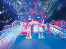 嘉峪关周边冰场价格