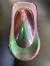 巴中变色龙粉厂家