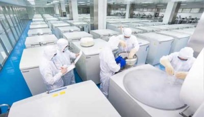 南京6万一针干细胞_胚胎干细胞针制造