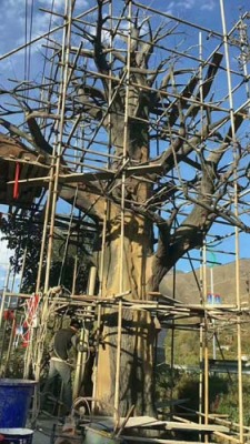 惠州水泥假树设计