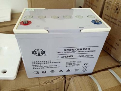 白城双登蓄电池12V100AH报价参数