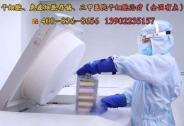 上海免疫细胞储存费用是多少